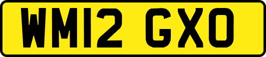 WM12GXO