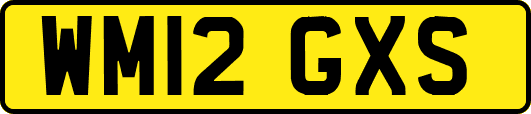 WM12GXS