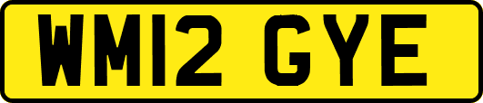 WM12GYE