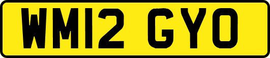 WM12GYO