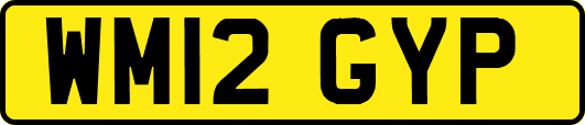 WM12GYP