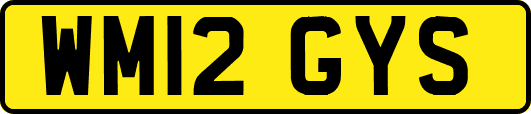 WM12GYS