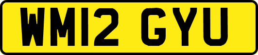 WM12GYU