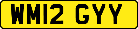 WM12GYY