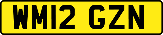 WM12GZN
