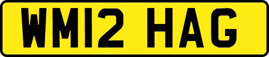 WM12HAG