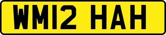 WM12HAH