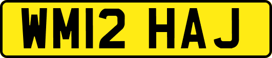 WM12HAJ