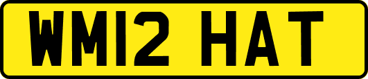 WM12HAT