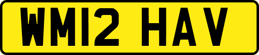 WM12HAV