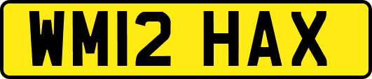 WM12HAX