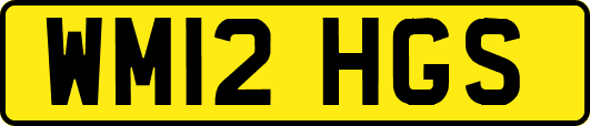 WM12HGS