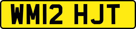 WM12HJT