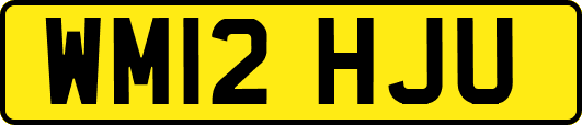 WM12HJU