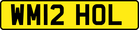 WM12HOL