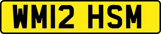 WM12HSM
