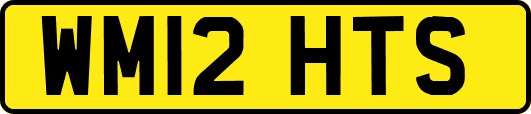 WM12HTS