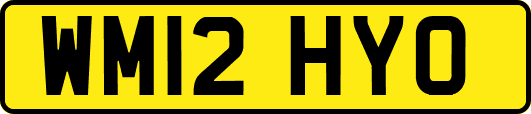 WM12HYO