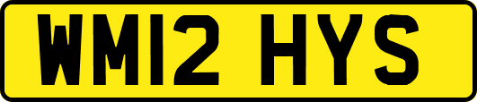 WM12HYS
