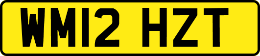 WM12HZT