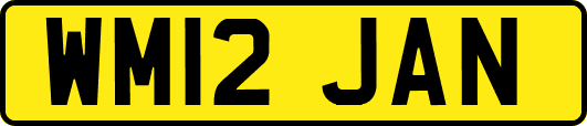 WM12JAN