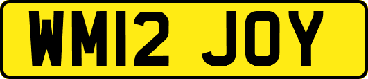 WM12JOY