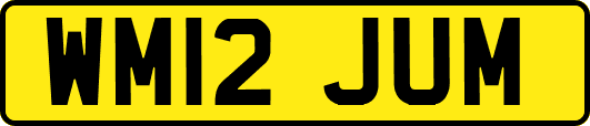 WM12JUM