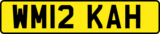 WM12KAH
