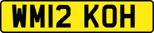 WM12KOH