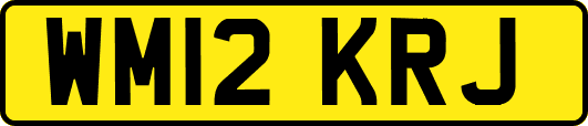 WM12KRJ