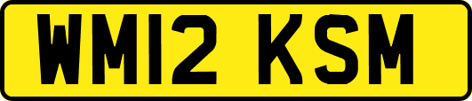 WM12KSM