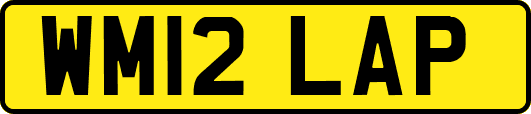 WM12LAP
