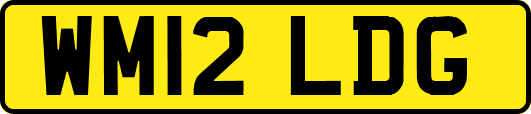 WM12LDG