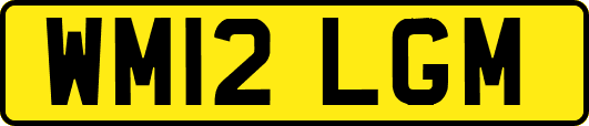 WM12LGM