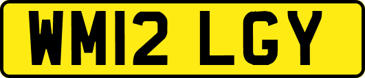 WM12LGY