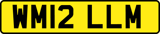 WM12LLM