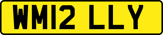 WM12LLY