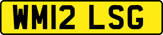 WM12LSG