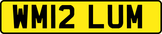 WM12LUM