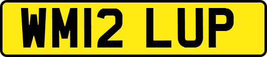 WM12LUP