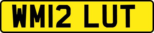 WM12LUT
