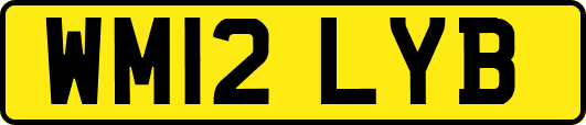 WM12LYB