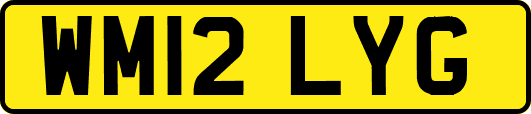 WM12LYG