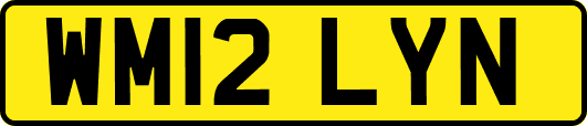 WM12LYN