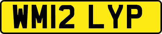 WM12LYP