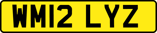 WM12LYZ