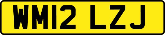 WM12LZJ