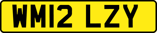 WM12LZY