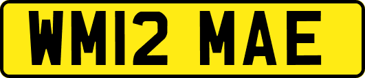 WM12MAE