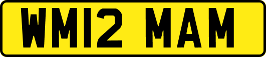 WM12MAM